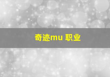 奇迹mu 职业